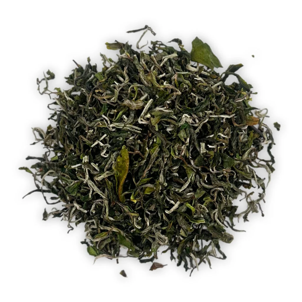darjeeling turzum dj5