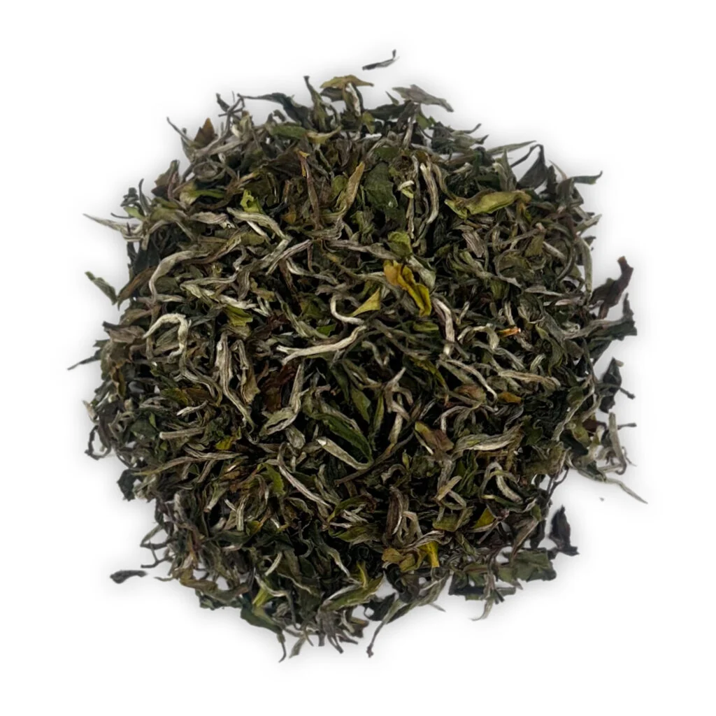 darjeeling moonlight ex23