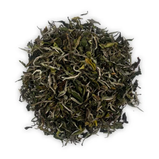 darjeeling moonlight ex23